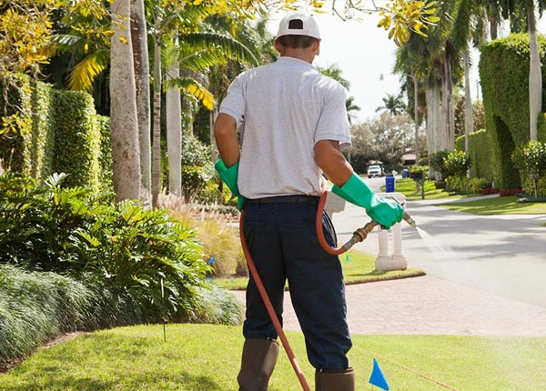 About Norway SC Pest Control Pros